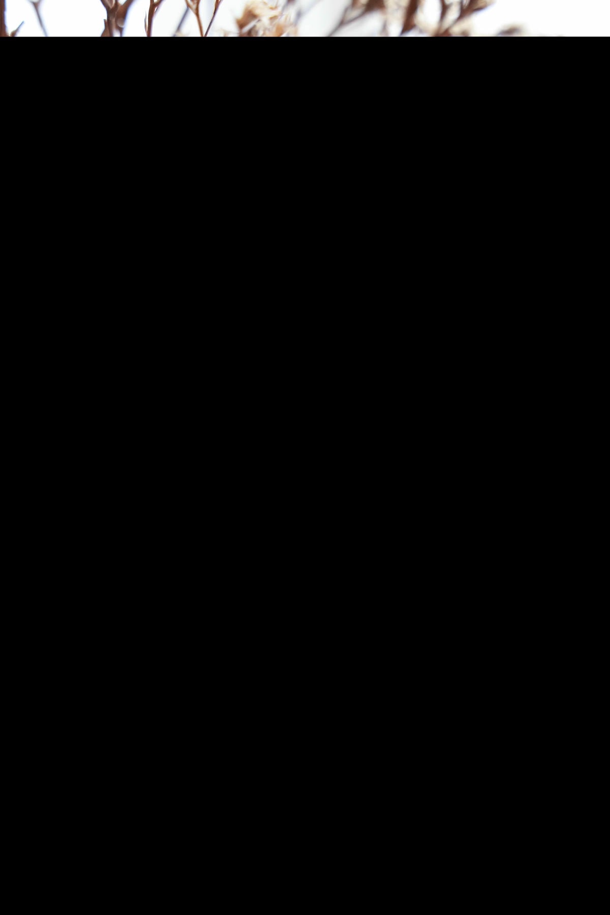 20250927-rkodv
