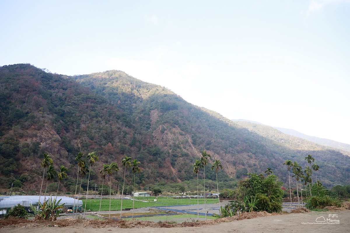 埔里觀瀑渡假民宿｜綠意繚繞、萌貓陪伴、平日一房含早餐2千有找